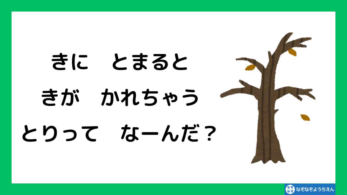 なぞなぞ：木にとまると、木が枯れちゃう鳥ってなーんだ？