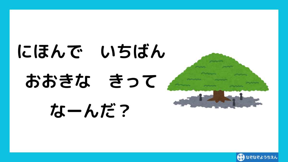 なぞなぞ：日本で一番大きな木ってなーんだ？