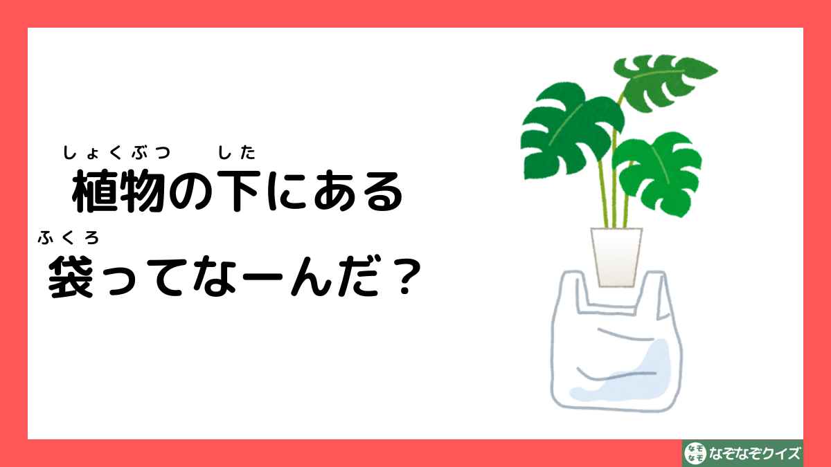 なぞなぞクイズ：植物の下にある袋ってなーんだ？