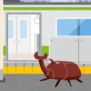 駅とカブトムシ