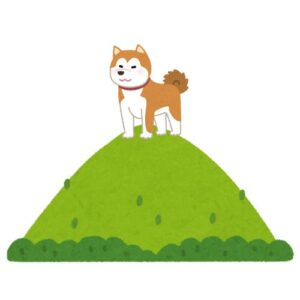 山の上に立つ犬